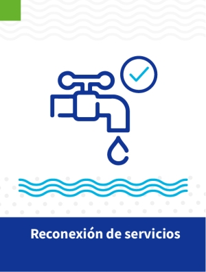 Reconexi&oacute;n de Servicios