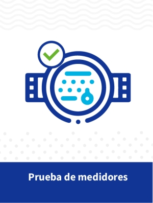 Prueba del medidor