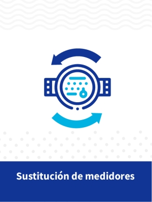 Sustituci&oacute;n del medidor